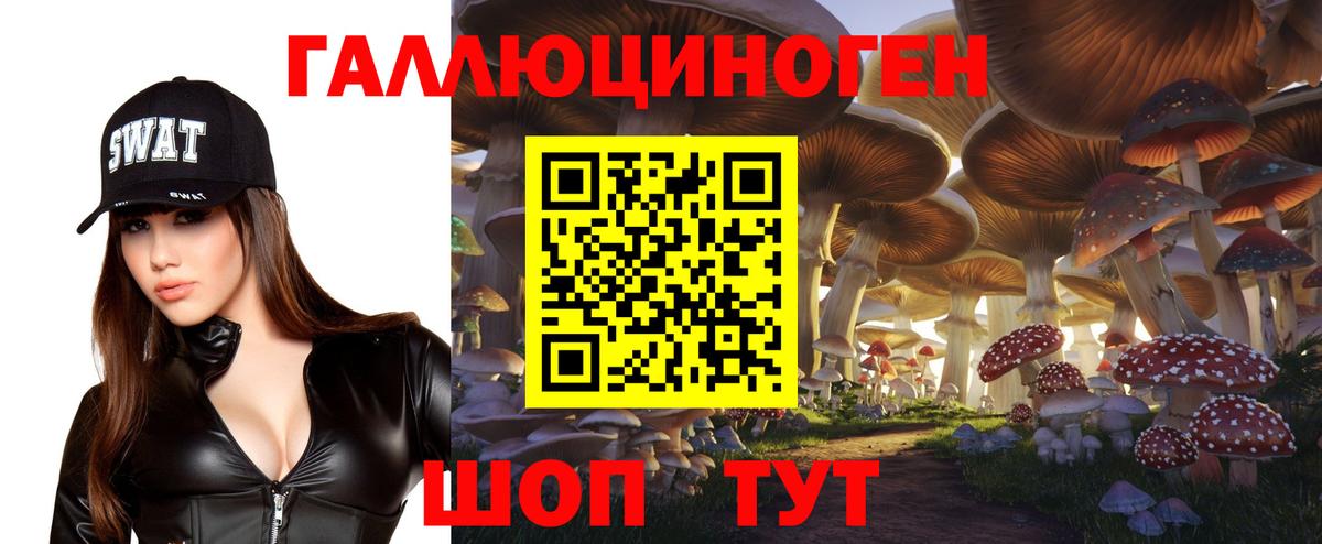 Галлюциногенные грибы Psilocybe Обнинск